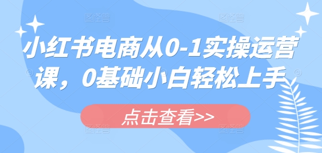 小红书电商从0-1实操运营课，0基础小白轻松上手-爱学库