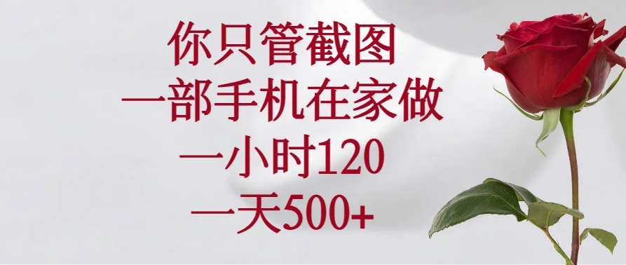 （14248期）你只管截图，一部手机在家做，一小时120，一天500+-爱学库