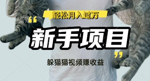 利用老外躲猫猫大赛视频，挣分成收益，操作简单，新手小白，轻松月入过W-爱学库