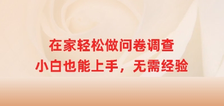 在家轻松做问卷调查，小白也能上手，无需经验-爱学库