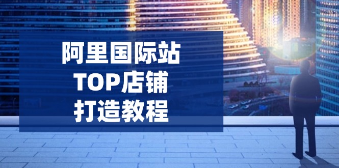 （14269期）阿里国际站TOP店铺打造教程：涵盖平台到高阶，解决运营难题，提升询盘-爱学库