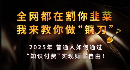 知识付费如何做到月入过W+，2025我来教你做“镰刀”【揭秘】-爱学库