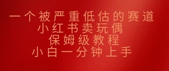 一个被严重低估的赛道，小红书卖玩偶，保姆级教程，小白一分钟上手-爱学库