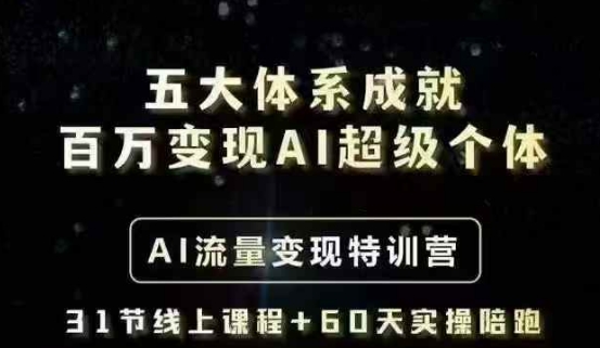 五大体系成就百万变现AI超级个体- AI流量变现特训营，一步一步教你一个人怎么年入百W-爱学库