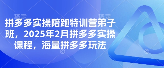 拼多多实操陪跑特训营弟子班，2025年2月拼多多实操课程，海量拼多多玩法-爱学库