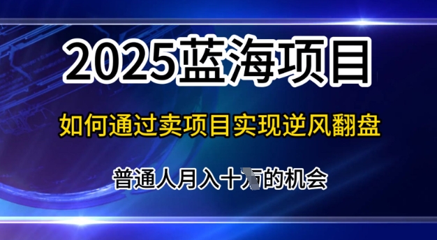 2025蓝海项目，普通人如何通过卖项目实现逆风翻盘，月入10个【揭秘】-爱学库