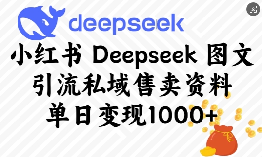小红书Deepseek图文引流私域售卖资料，单日变现多张-爱学库