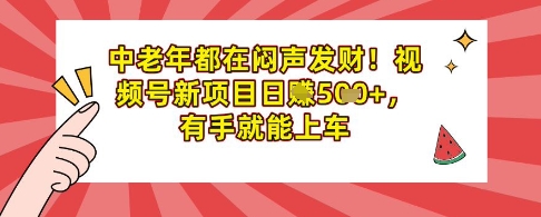 中老年都在闷声发财，视频号新项目日入多张，有手就能上车-爱学库