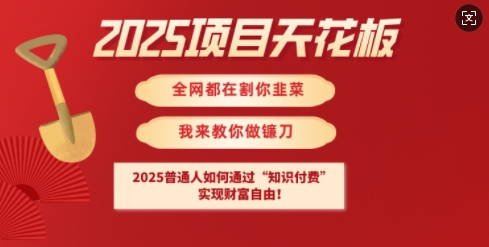 2025项目天花板普通人如何通过知识付费，实现财F自由【揭秘】-爱学库