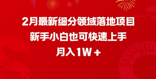 2月最新细分领域落地项目，新手小白也可快速上手，月入1W-爱学库