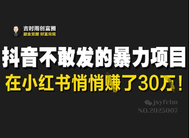 抖音不敢发的暴利项目，在小红书悄悄挣了30W-爱学库