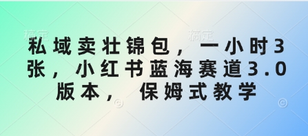 私域卖壮锦包，一小时3张，小红书蓝海赛道3.0版本， 保姆式教学-爱学库