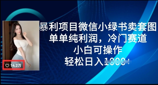 暴利项目微信小绿书卖套图，单单纯利润，冷门赛道， 小白可操作，轻松日入多张-爱学库