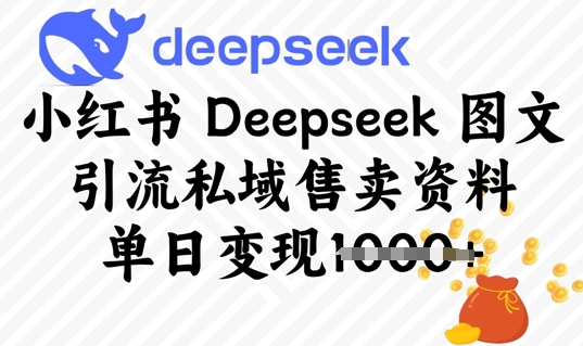小红书Deepseek 图文引流私域售卖资料，单日变现多张-爱学库