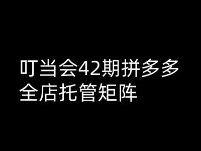 叮当会拼多多打爆班原创高阶技术第42期，拼多多全店托管矩阵-爱学库