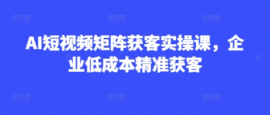AI短视频矩阵获客实操课，企业低成本精准获客-爱学库